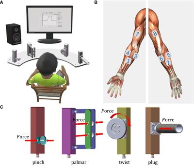 Natural grasping movement recognition and force estimation using electromyography